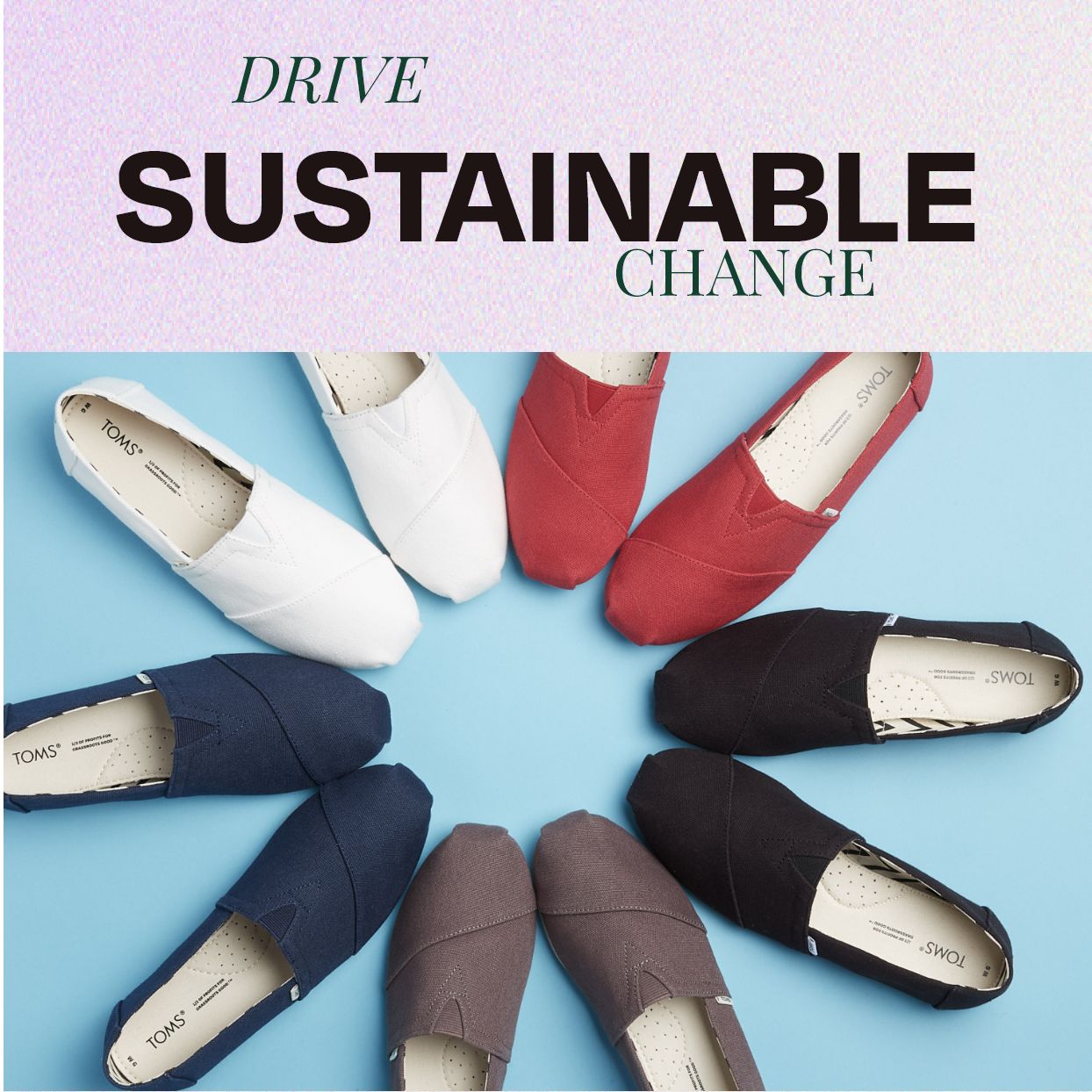 Drive sustainable change