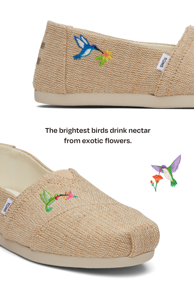 The brightest birds drink nectar from exotic flowers.