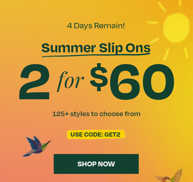 Summer Slip Ons 2 for $60