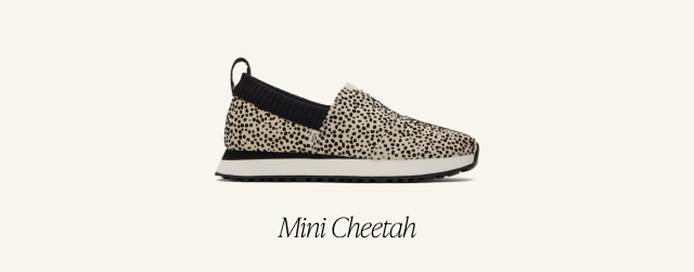 Mini Cheetah