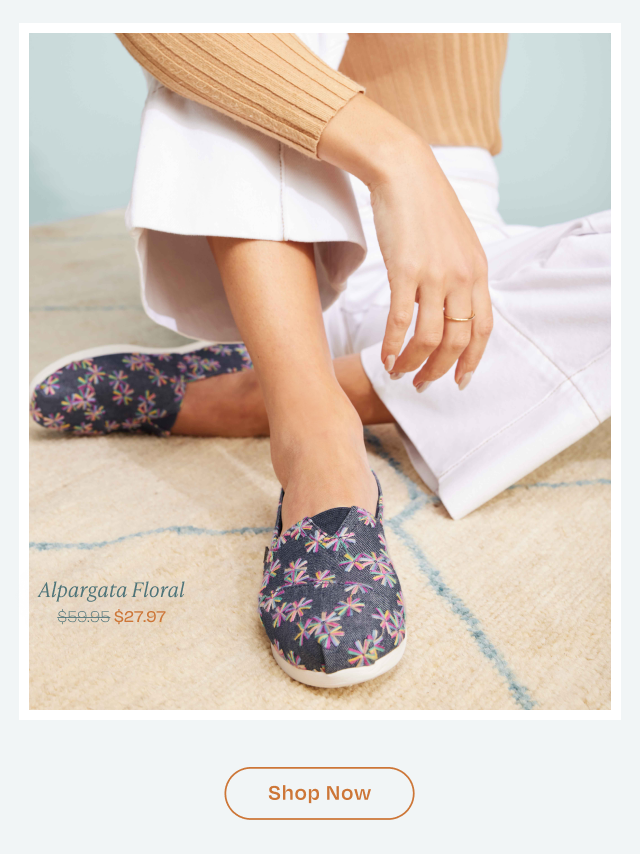 Alpargata Navy Embroidered Floral