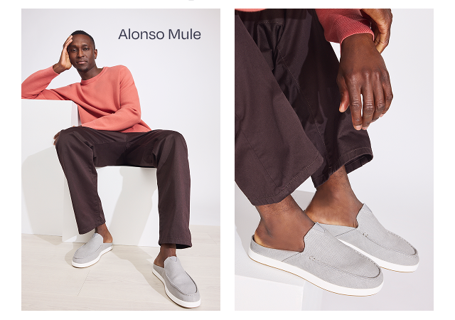 Alonso Mule - Image