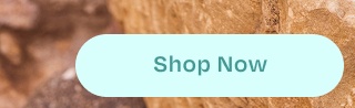 Shop Now Button - Image