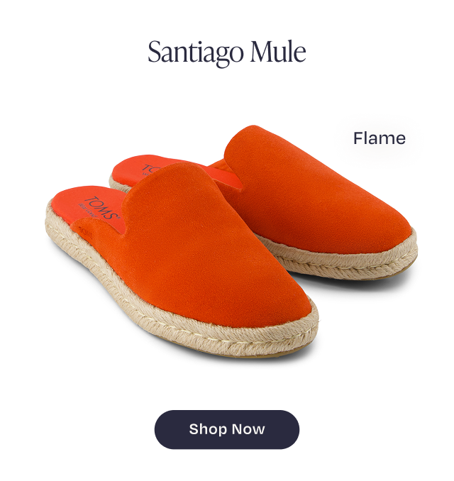 Santiago Mule Espadrille - Image