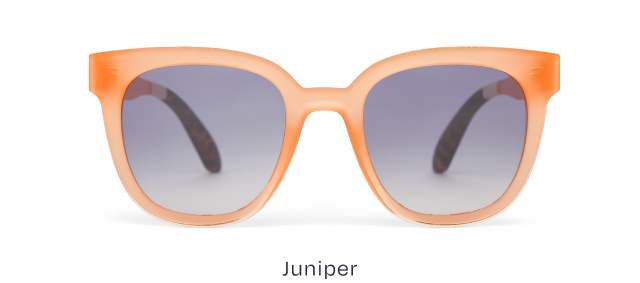 Juniper Traveler Sunglasses - Image