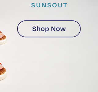 Shop Now Button - Image