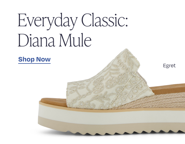 Everyday Classic: Diana Mule - Image