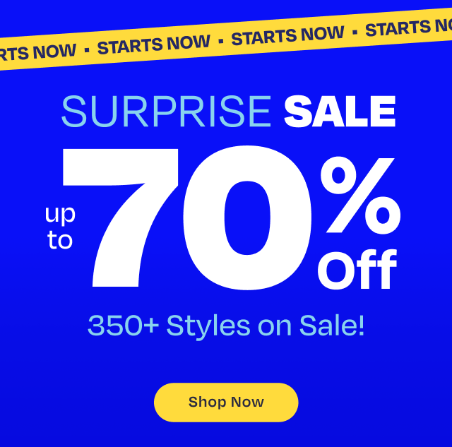 Surprise Sale - Image