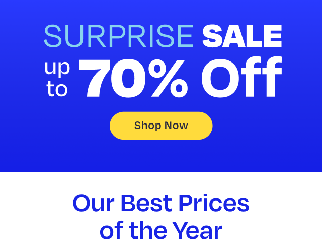 Surprise Sale - Image