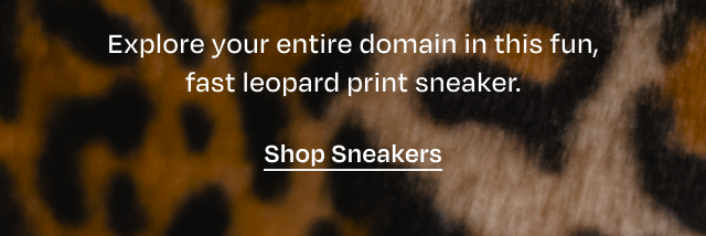 Shop Sneakers - Image