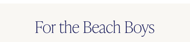 For the Beach Boys - Image