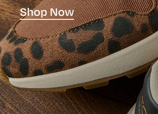 Shop Now - Button