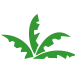 The Rainforest Site Logo
