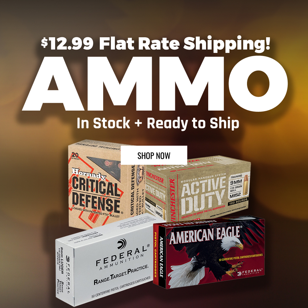 Grab Some Ammo - Huge Ammo Sale
