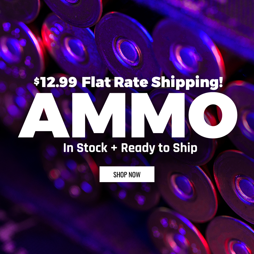 Ammo For Sale