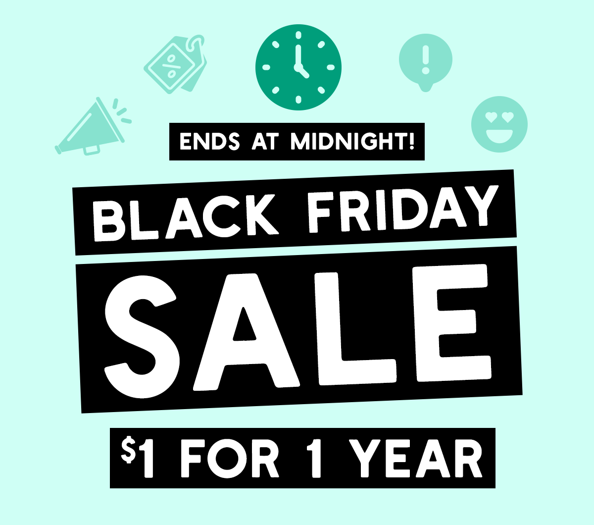 Black Friday Sale