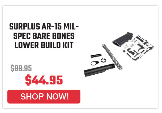 surplus-ar-15-mil-spec-bare-bones-lower-build-kit