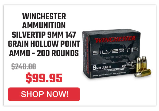 winchester-ammunition-silvertip-9mm-147-grain-hollow-point-handgun-ammo-200-round-case