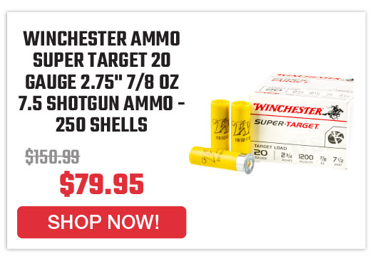 winchester-ammo-trgt207-super-target-20-gauge-2-75-7-8-oz-7-5-shotgun-ammo-250-shells