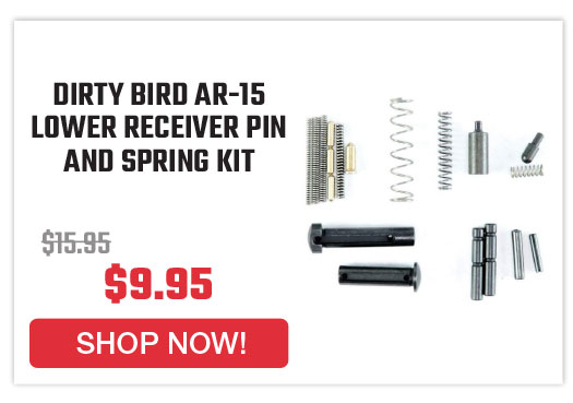 dirty-bird-ar-15-lower-receiver-pin-and-spring-kit