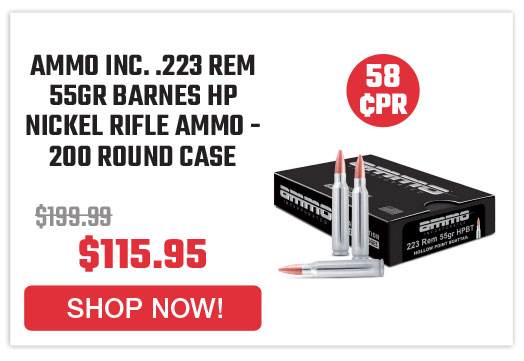 ammo-inc-223-rem-55gr-barnes-hp-nickel-rifle-ammo-200-round-case