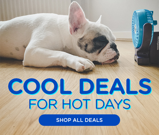 Cool Deals for Hot Days