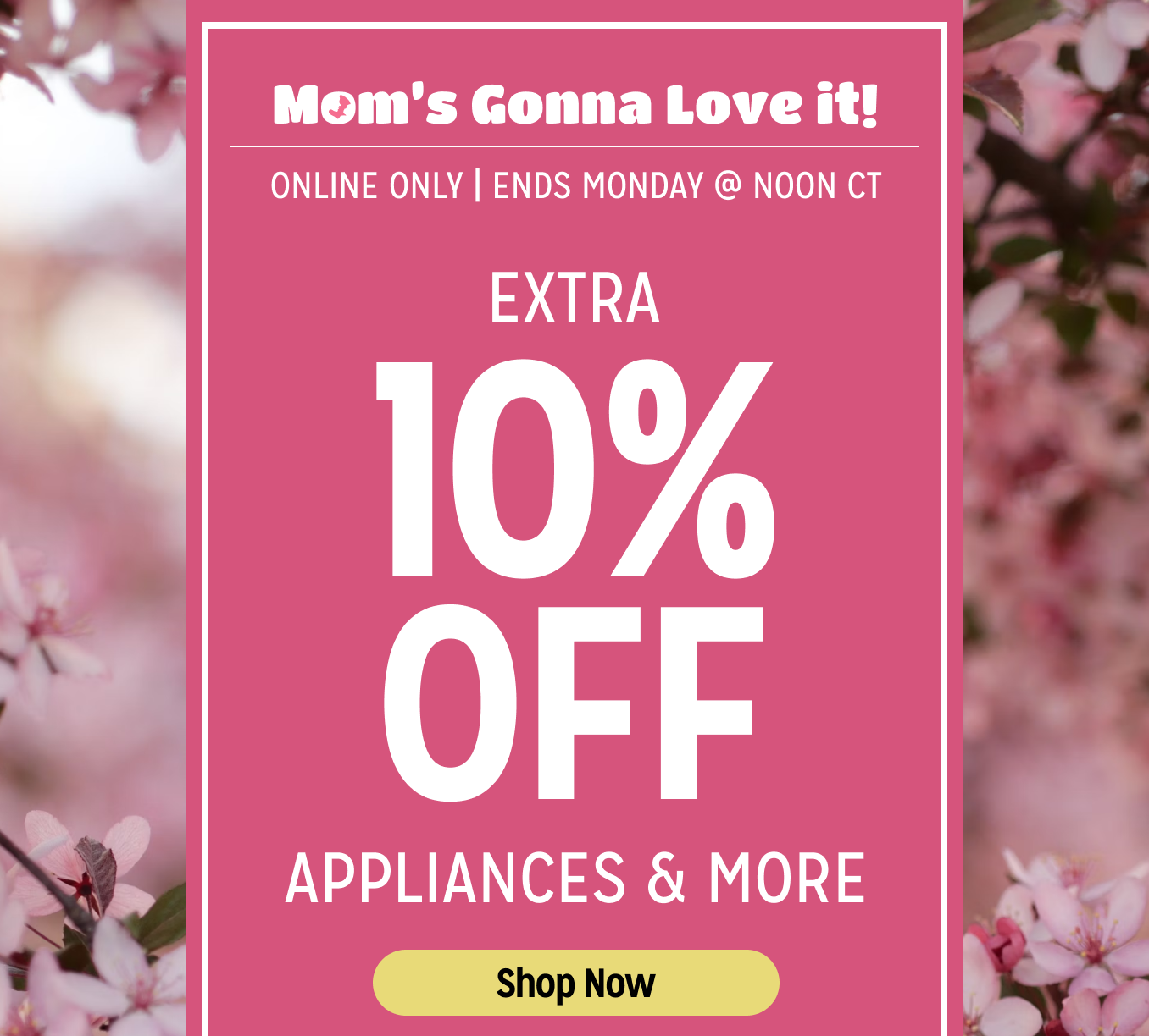 Mom's Gonna Love It! Online Only - Extra 10% off Appliances and More - Ends 2/3 @ Noon