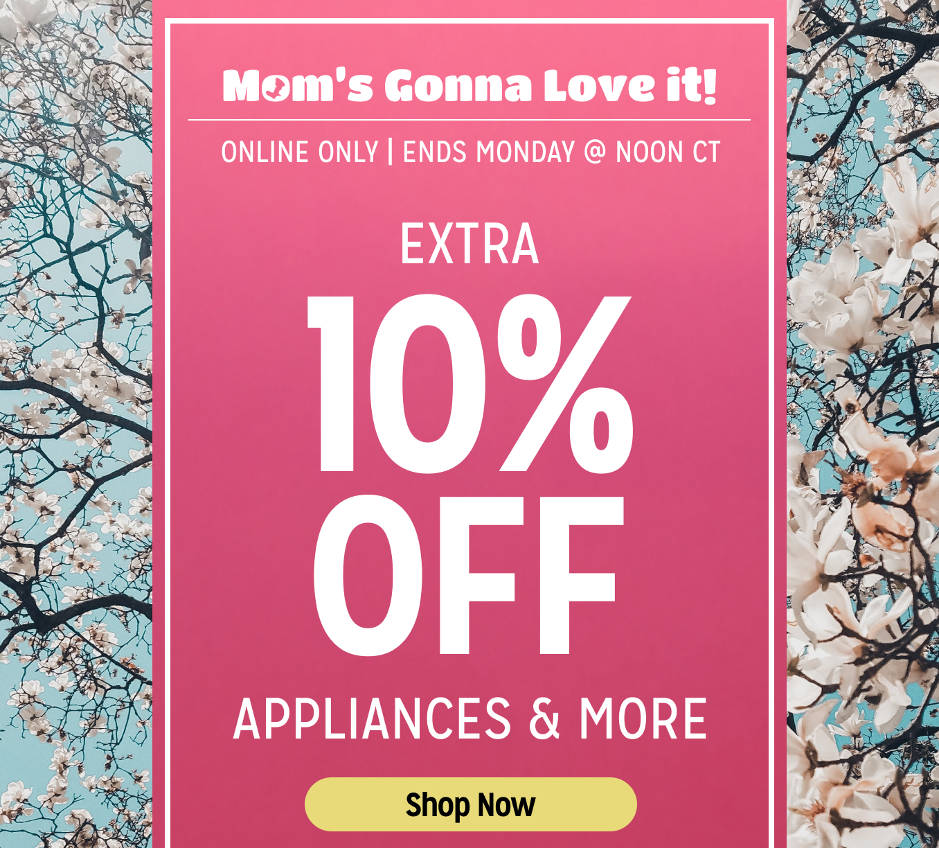 Mom's Gonna Love it! Online Only - Extra 10% off Appliances and More - Ends 5/5 @ Noon