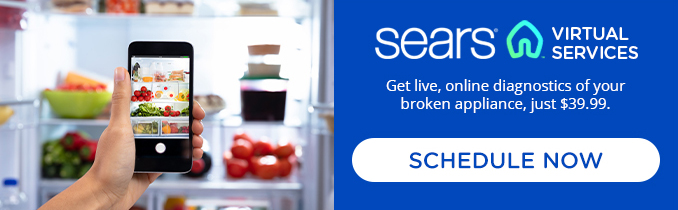 Sears Virtual Services