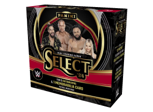 2024 Panini Select WWE Wrestling Hobby Box