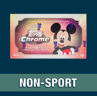 Non-Sport