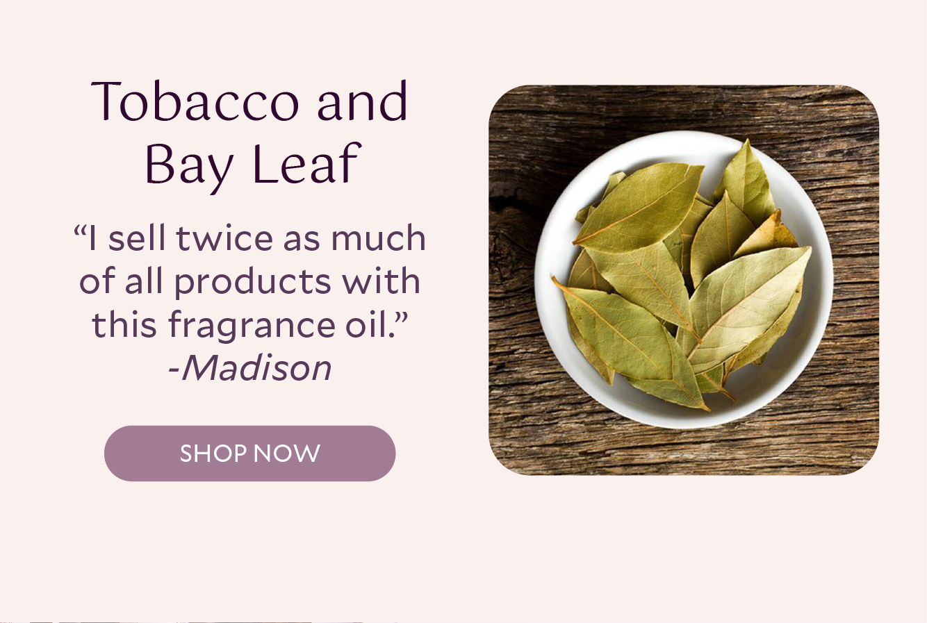 Bramble Berry Tobacco and Bay Leaf Fragrance Oil | 2 | Michaels