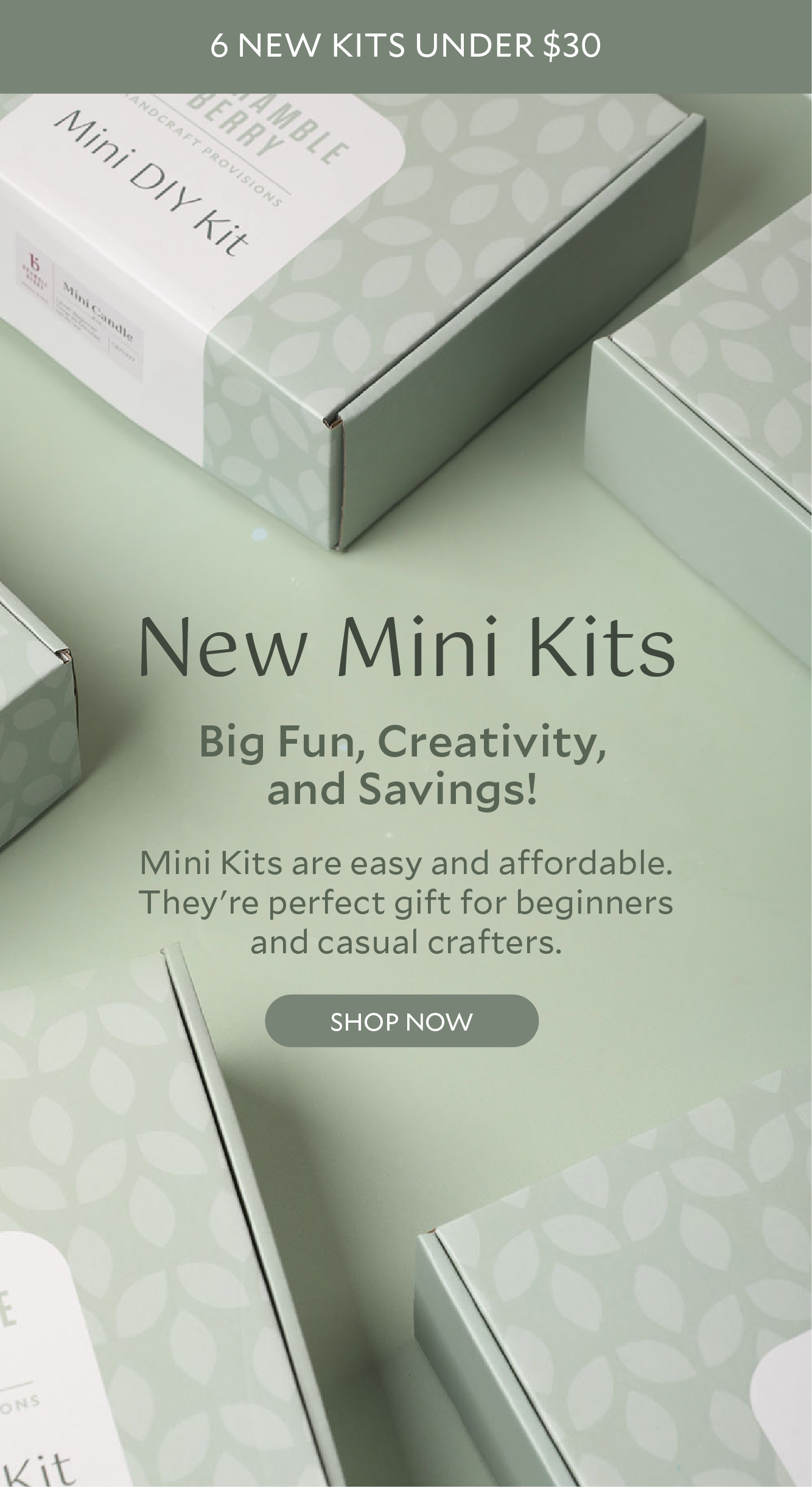 Try our new Mini Kits!