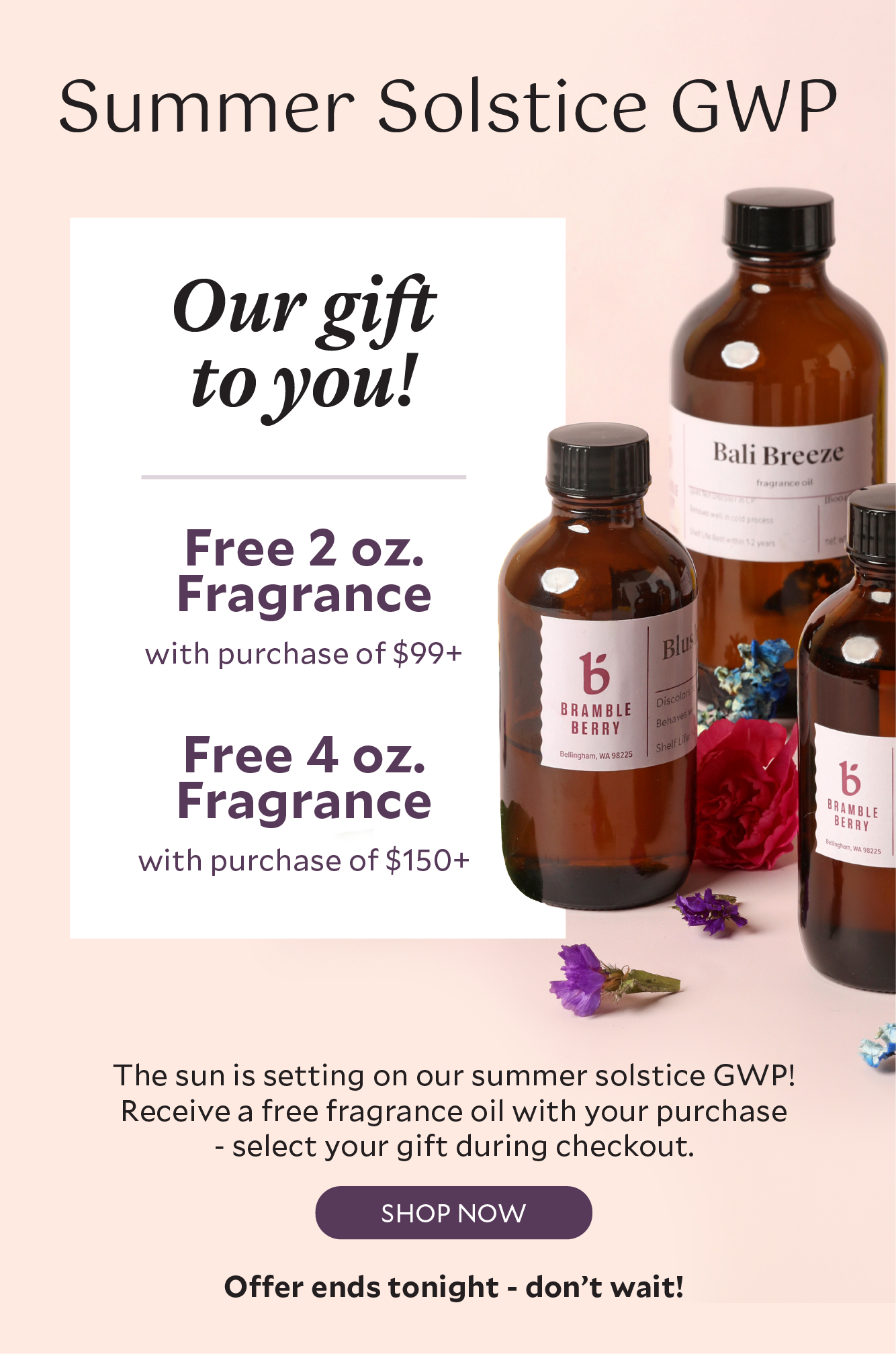 Last Chance: Receive a free 2 or 4 oz fragrance oil with your purchase!