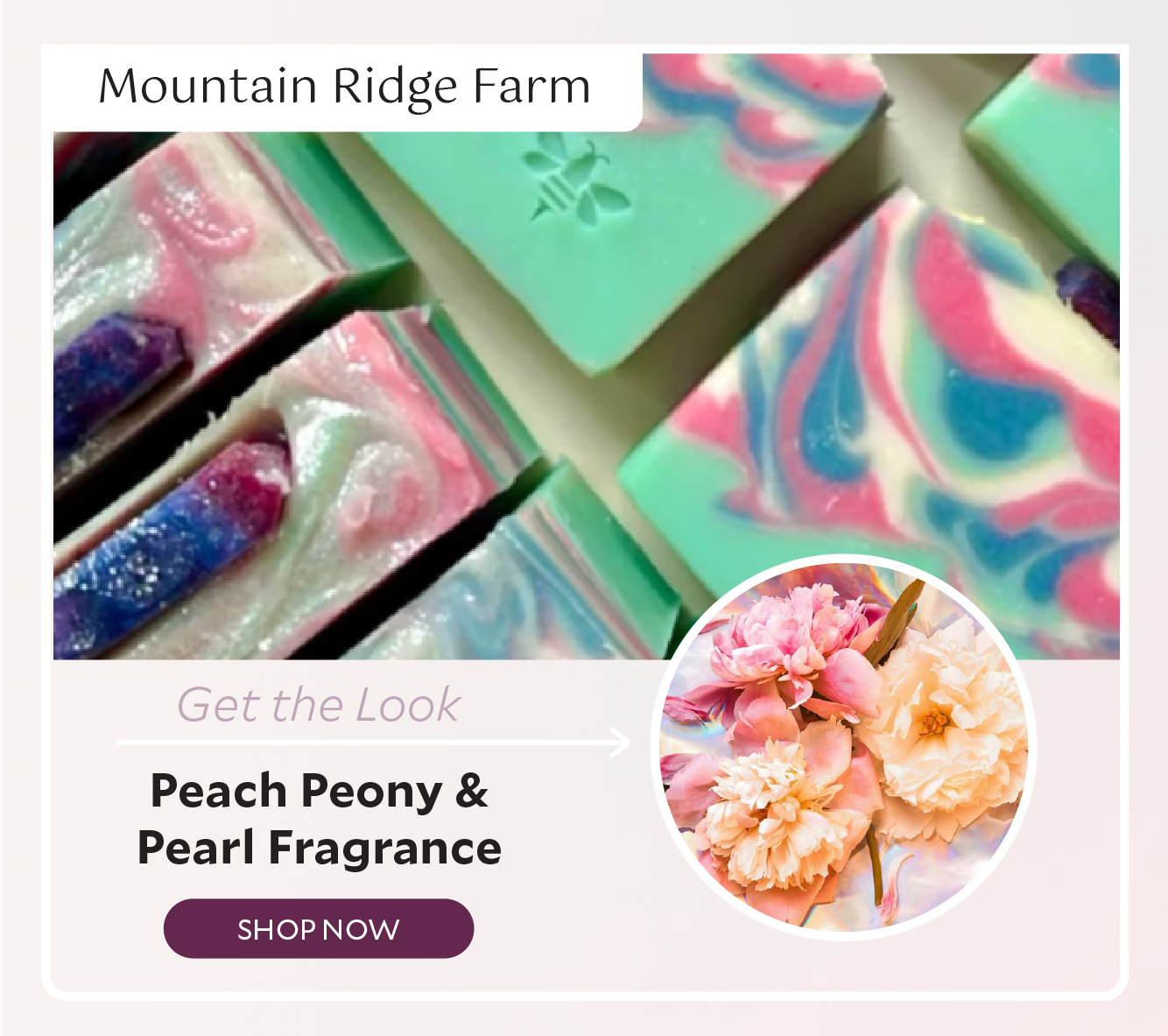 Mountain Ridge Farms created these bars with Peach Peony and Pearl Fragrance Oil.