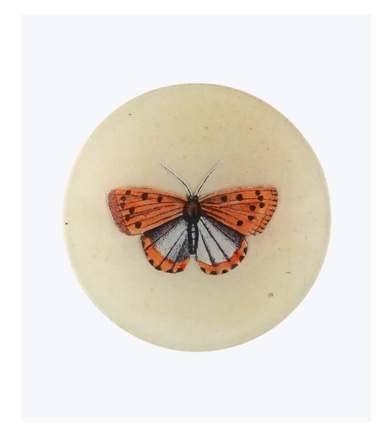 Coral Butterfly Round Plate