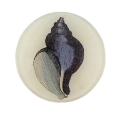 Purple Shell Round Plate