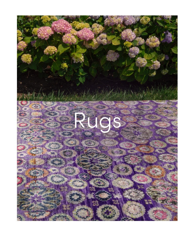 Shop Rugs