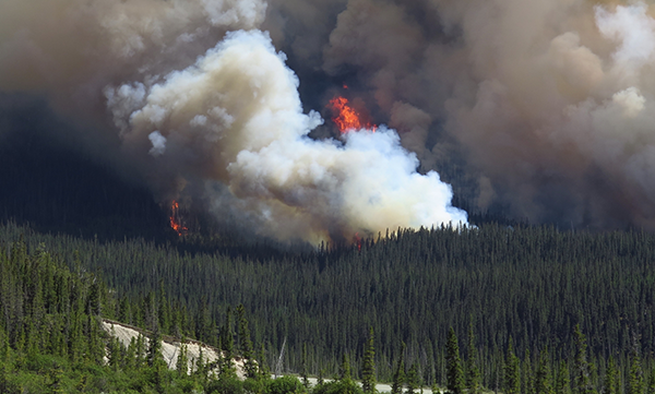 Wildfires and Air Quality: Stay Protected