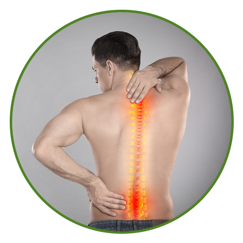 Back Pain