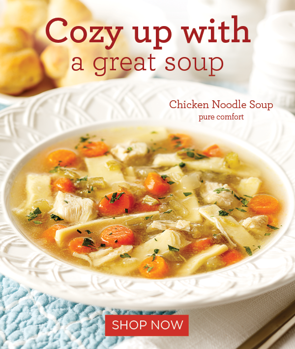 cozy up with great soup - chicken noodle soup