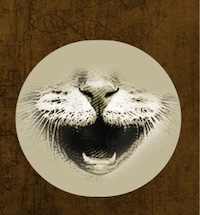 cats mouth in open meow state.