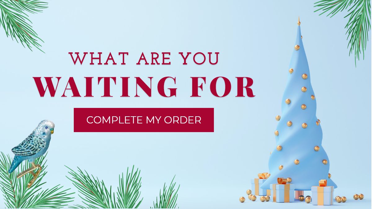 WHAT ARE YOU WAITING FOR - COMPLETE MY ORDER