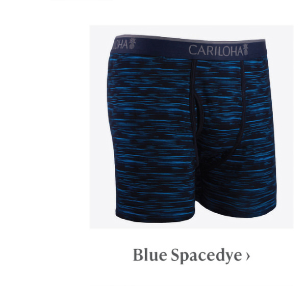 Blue Space Dye briefs