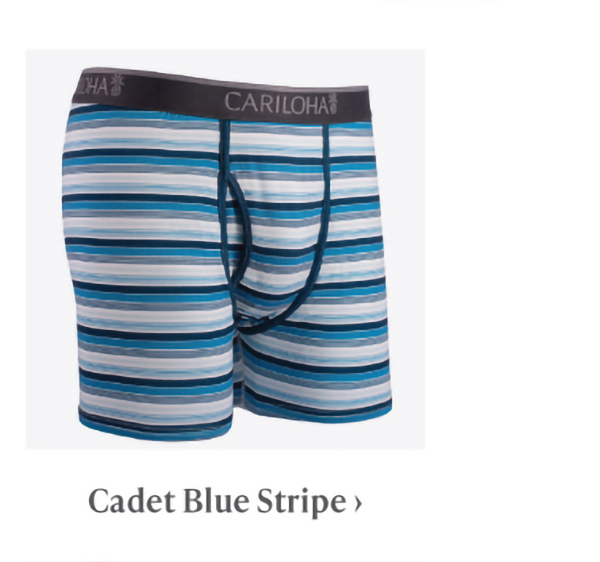 Cadet Blue Stripe briefs