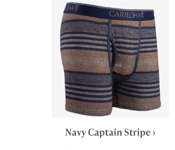 Navy Captain Stripe briefs