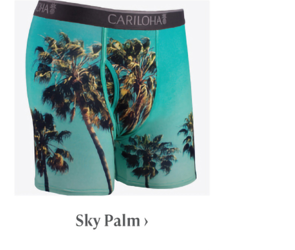 Sky Palm briefs