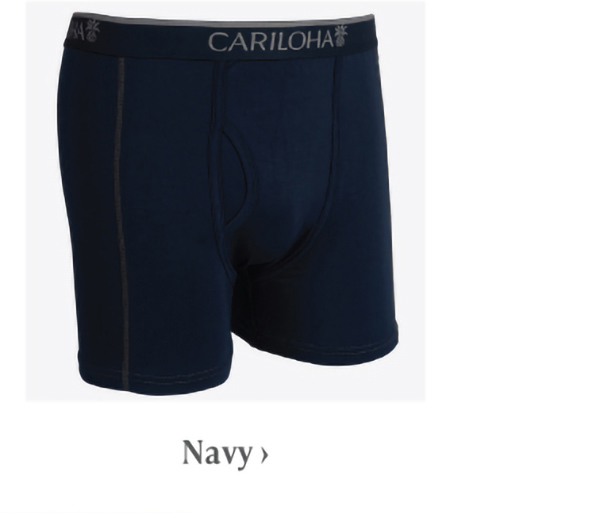 Navy briefs