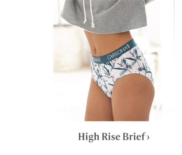 High Rise Brief