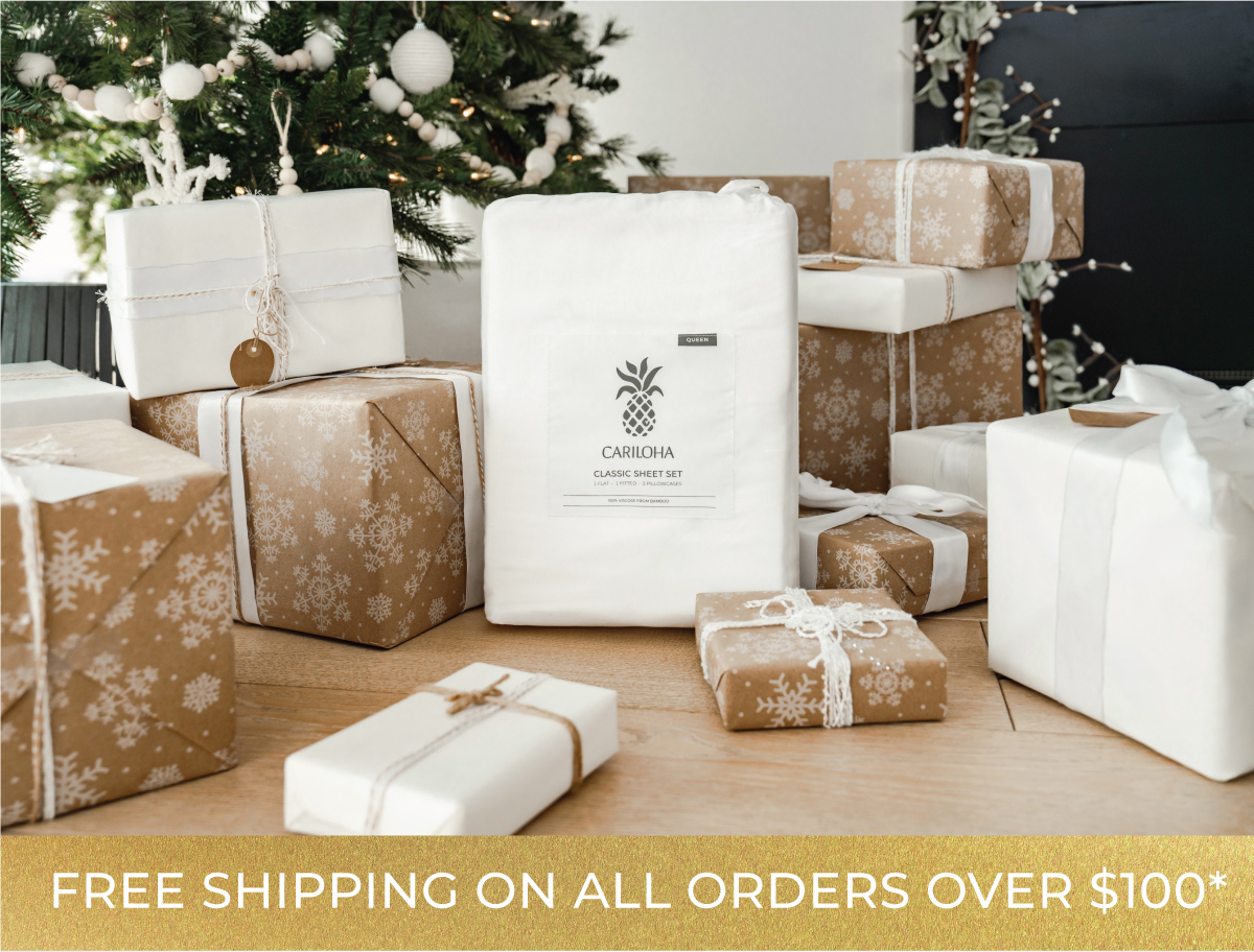 Free Shipping on All Orders Over $100*